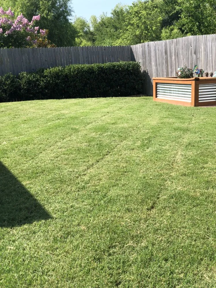 Trusted yard cleanup service in Greenville, TX - J&M Lawn Care