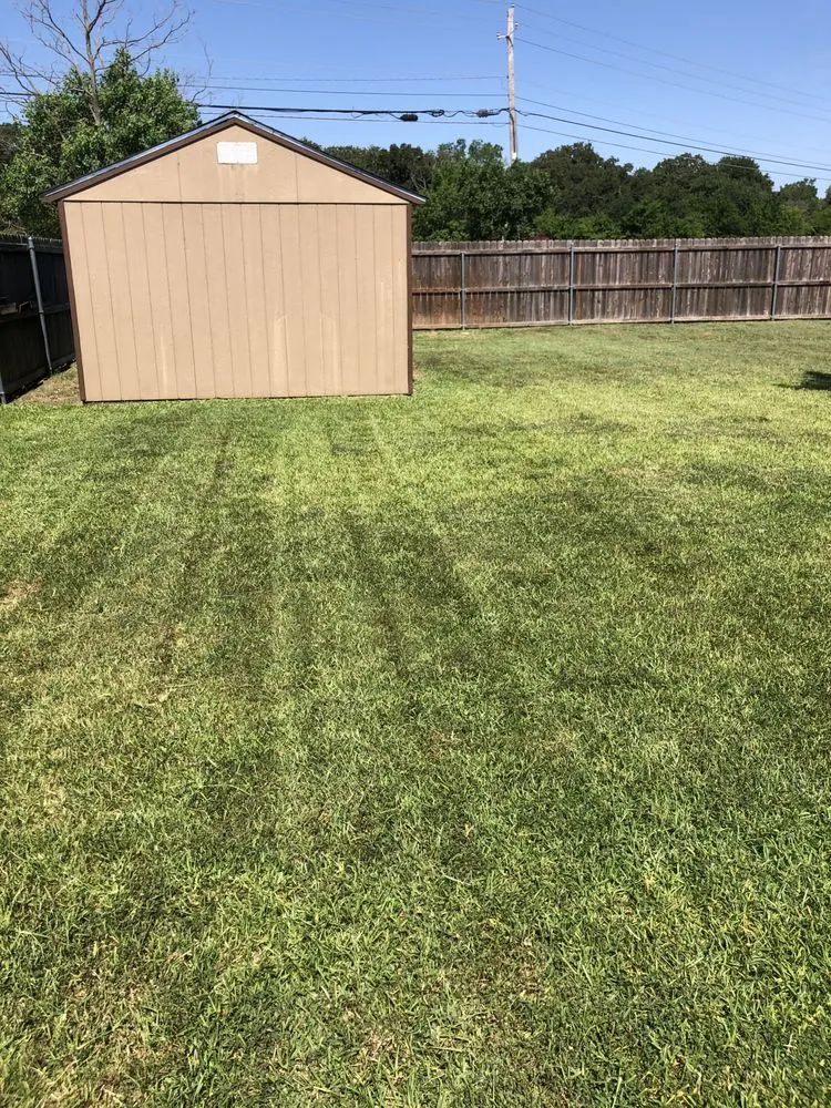 Professional yard maintenance for outdoor upgrades in Greenville, TX by J&M Lawn Care