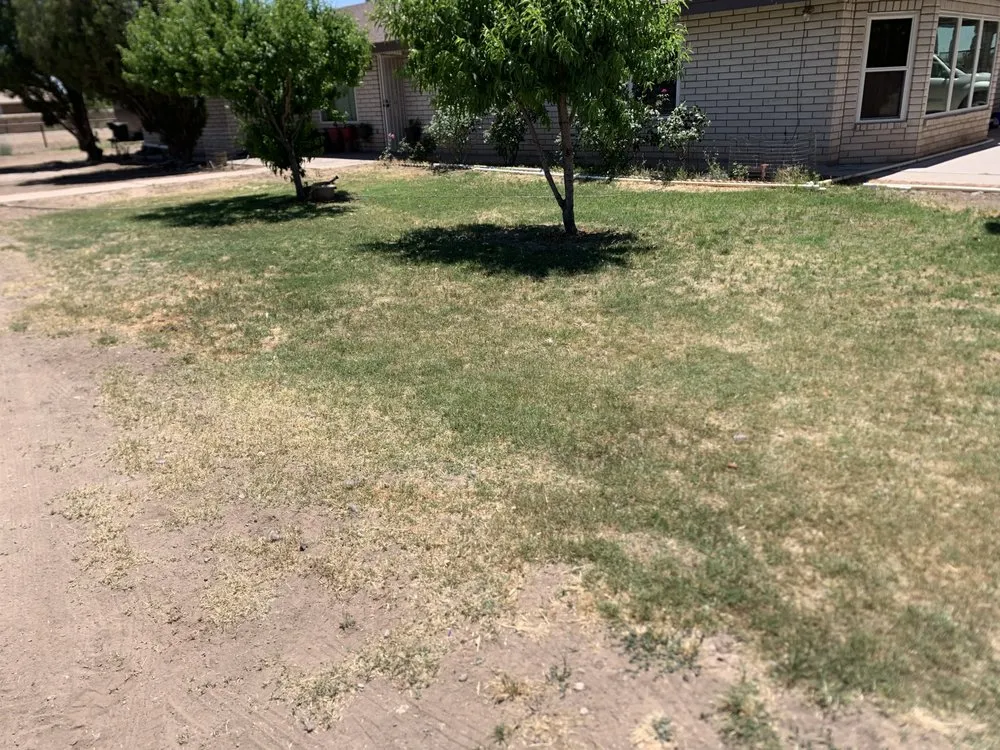 Custom lawn mowing service experts serving Las Cruces, NM - J&M lawn care