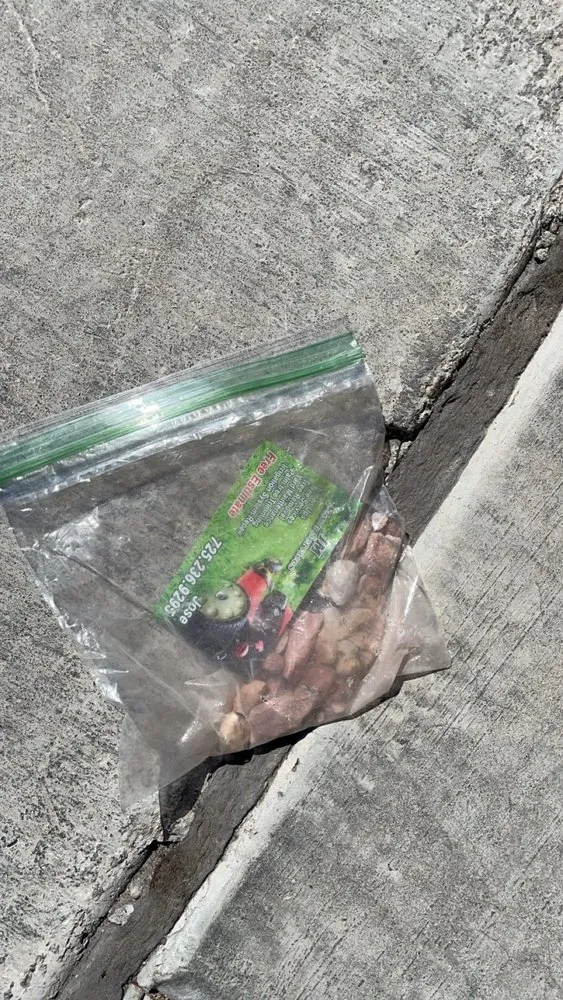 Affordable garden landscaping for year-round maintenance across Rancho Cucamonga, CA - JM Lawn Care