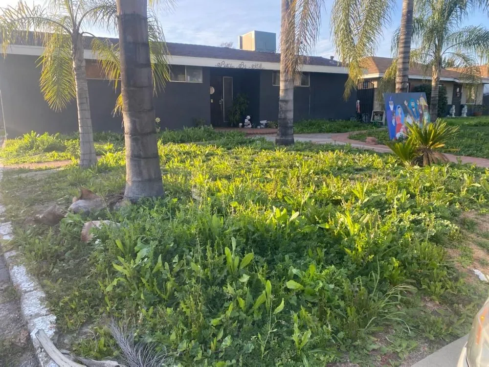 Professional lawn mowing service for homes in Rancho Cucamonga, CA by JM Lawn Care