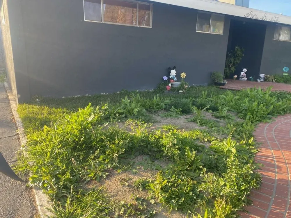 Top-rated outdoor landscaping in Rancho Cucamonga, CA - JM Lawn Care