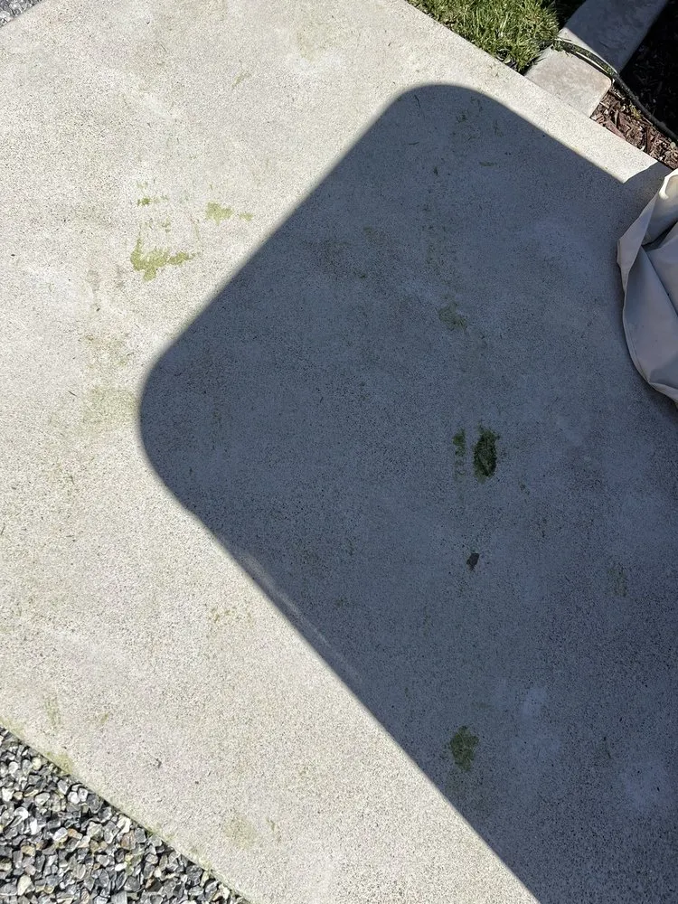 Reliable yard maintenance in Rancho Cucamonga, CA by JM Lawn Care