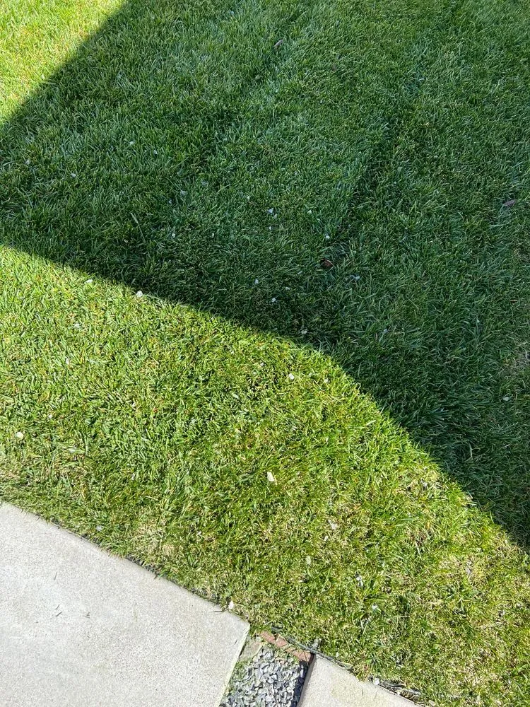 Trusted landscape design for year-round maintenance across Rancho Cucamonga, CA - JM Lawn Care