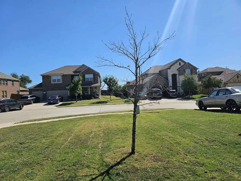 Top-rated landscape installation for homes in Rowlett, TX by J&M Lawn Care