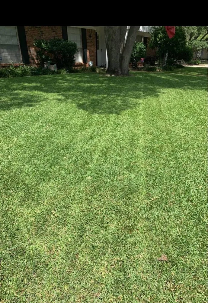 Affordable landscape installation for outdoor upgrades in Rowlett, TX by J&M Lawn Care