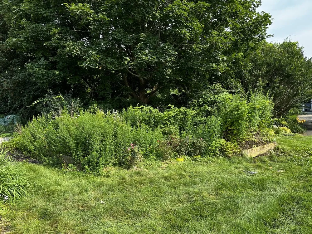 Reliable yard cleanup service in Fall River, MA - JM Lawn Care Service