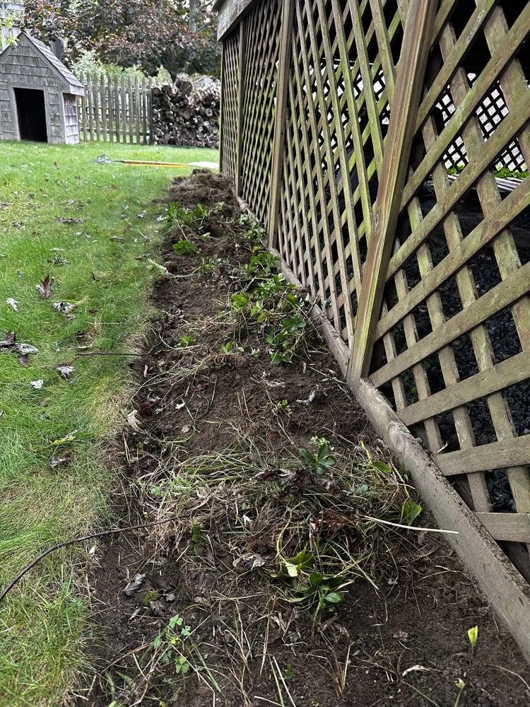 Professional yard cleanup service experts serving Fall River, MA - JM Lawn Care Service