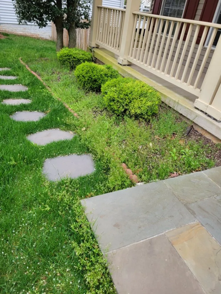 Reliable lawn care service in Leesburg, VA - JM Lawn Care Services