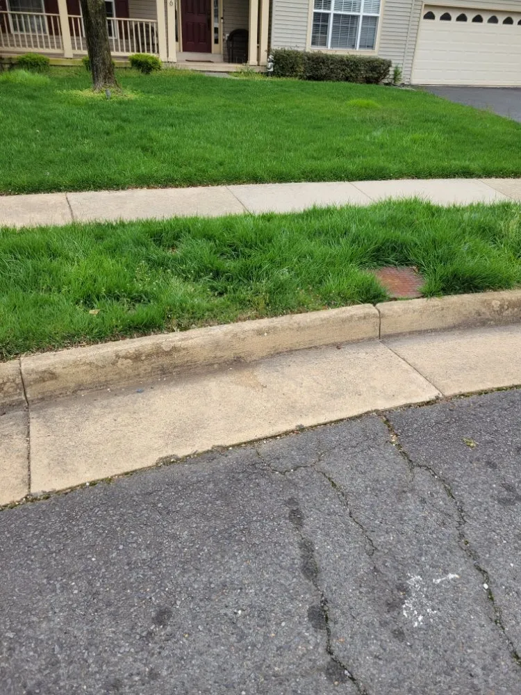 Trusted landscaping services in Leesburg, VA - JM Lawn Care Services