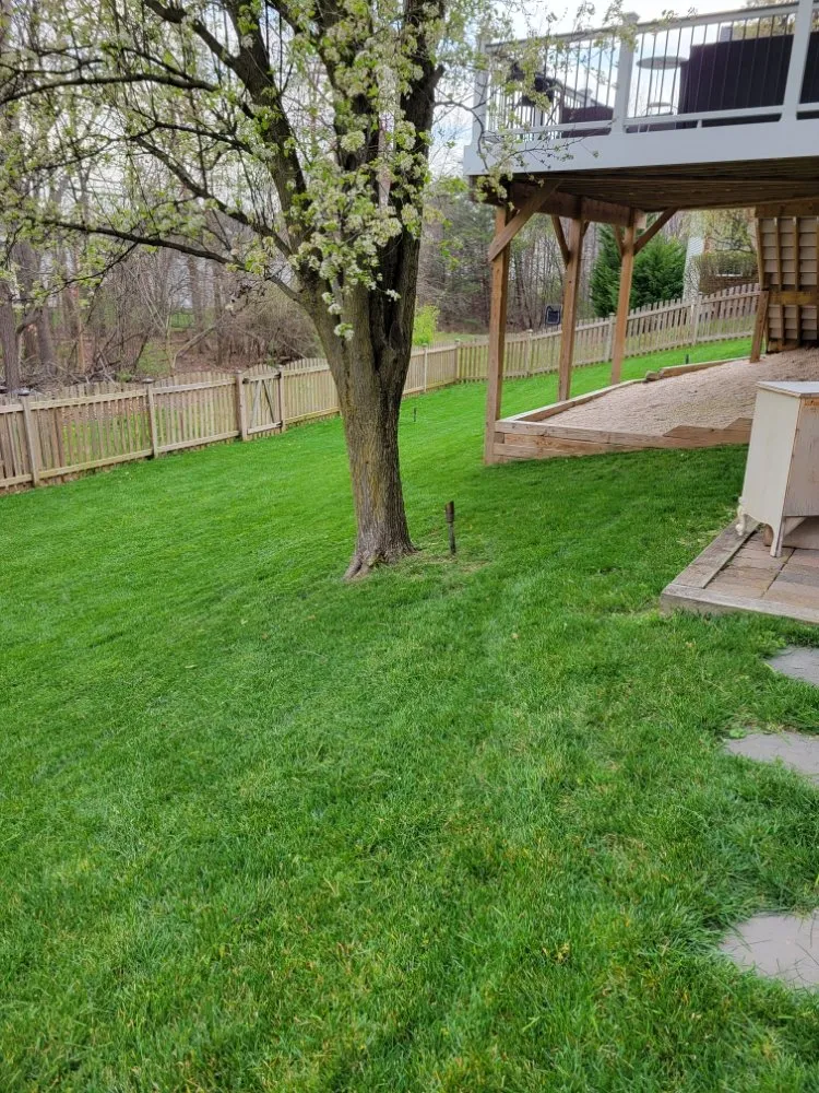 Local landscape installation for outdoor upgrades across Leesburg, VA - JM Lawn Care Services