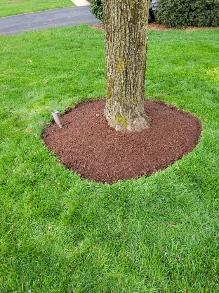 Top-rated yard cleanup service for year-round maintenance in Leesburg, VA by JM Lawn Care Services