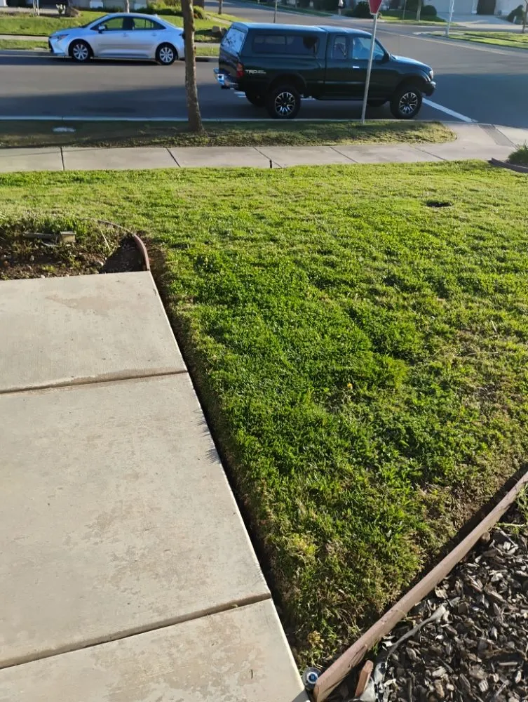 Top-rated landscape design in Winton, CA by J.M Lawn Care