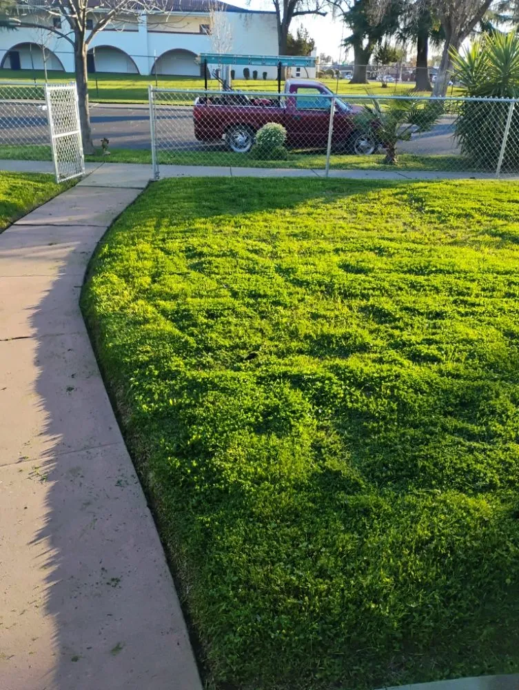 Top-rated garden landscaping for year-round maintenance in Winton, CA by J.M Lawn Care