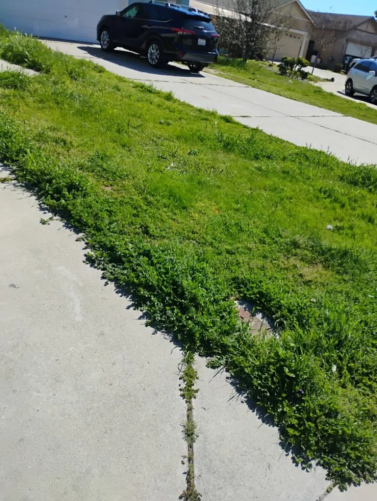 Affordable outdoor landscaping experts serving Winton, CA - J.M Lawn Care