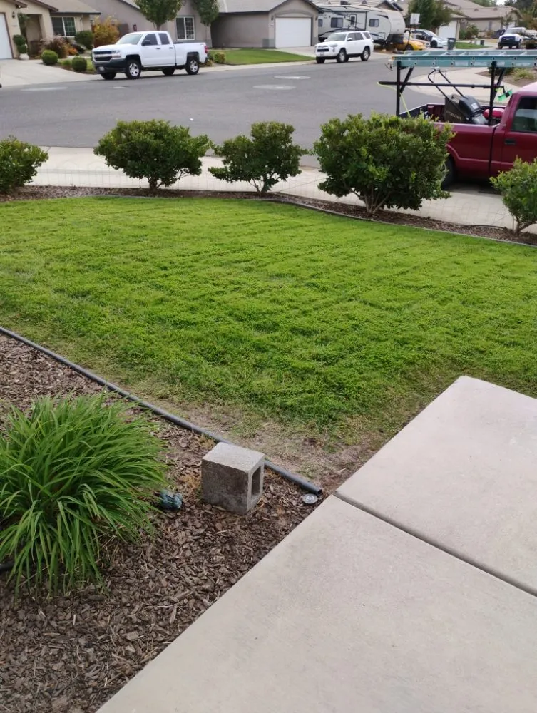 Top-rated yard cleanup service for residential properties across Winton, CA - J.M Lawn Care
