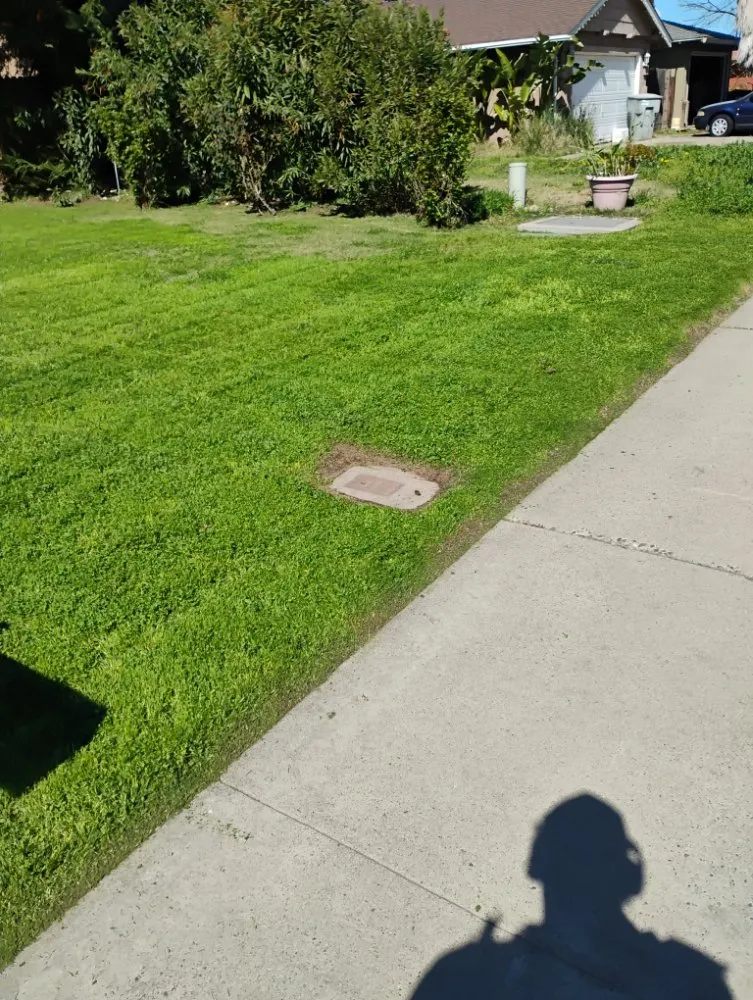 Trusted yard cleanup service experts serving Winton, CA - J.M Lawn Care