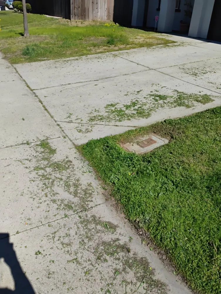 Local yard cleanup service near you across Winton, CA - J.M Lawn Care