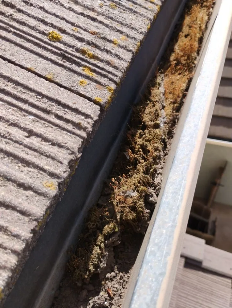 Expert yard maintenance experts serving Winton, CA - J.M Lawn Care