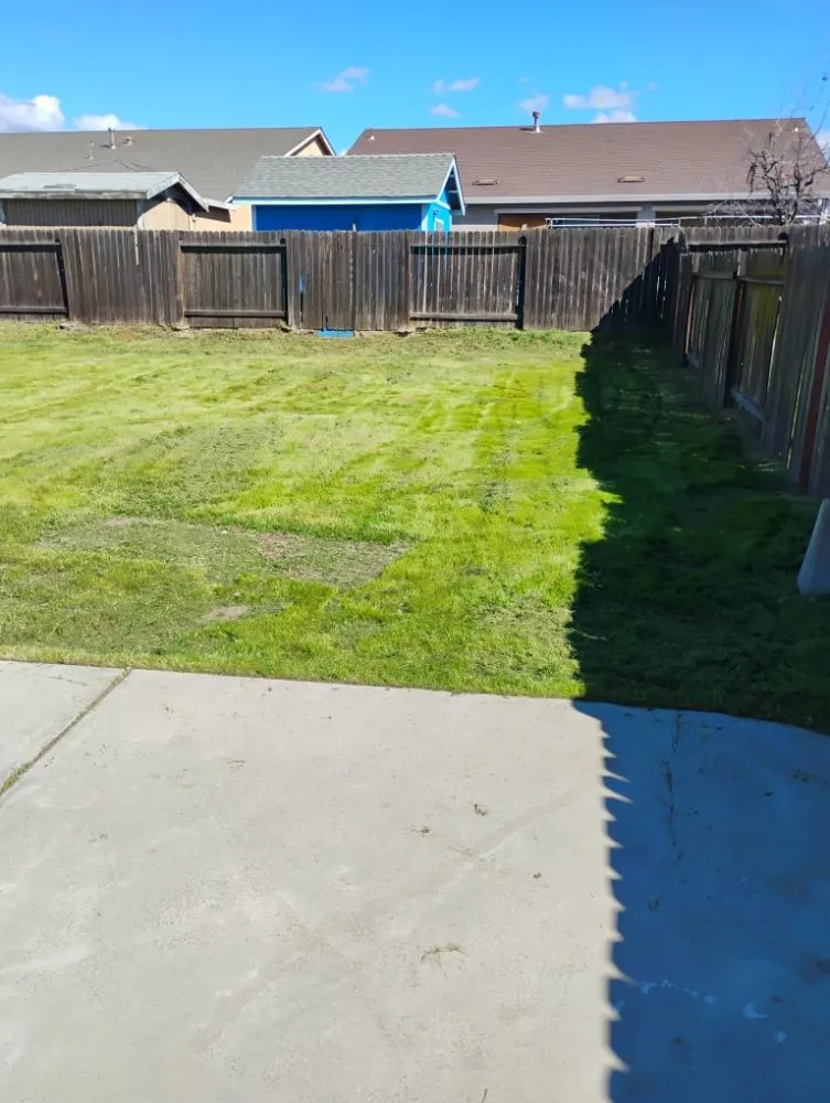 Affordable landscape design in Winton, CA by J.M Lawn Care