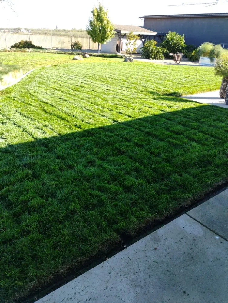 Affordable yard cleanup service with custom design in Winton, CA by J.M Lawn Care