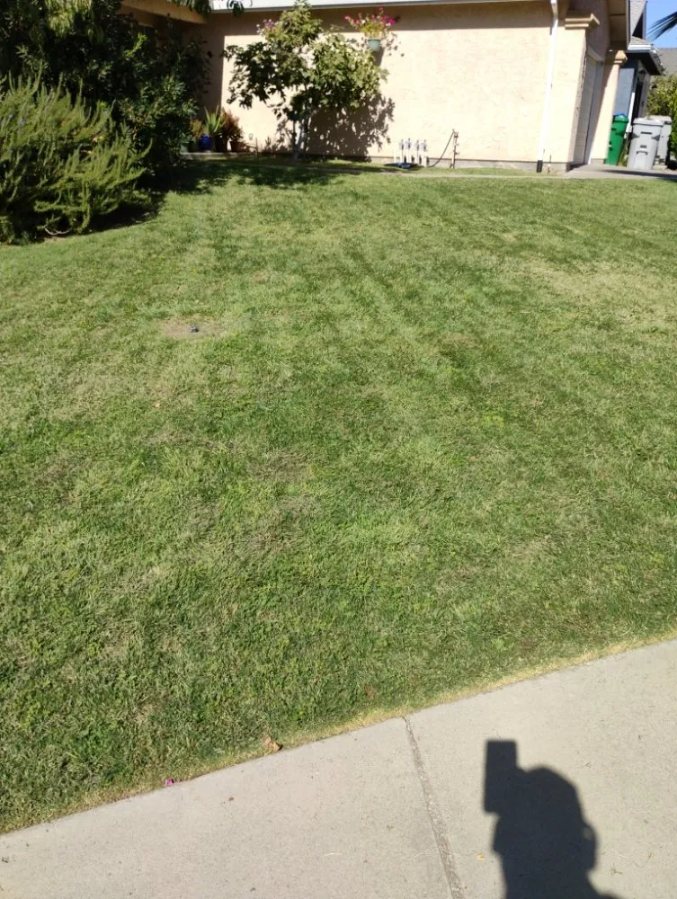 Professional lawn care service experts serving Winton, CA - J.M Lawn Care