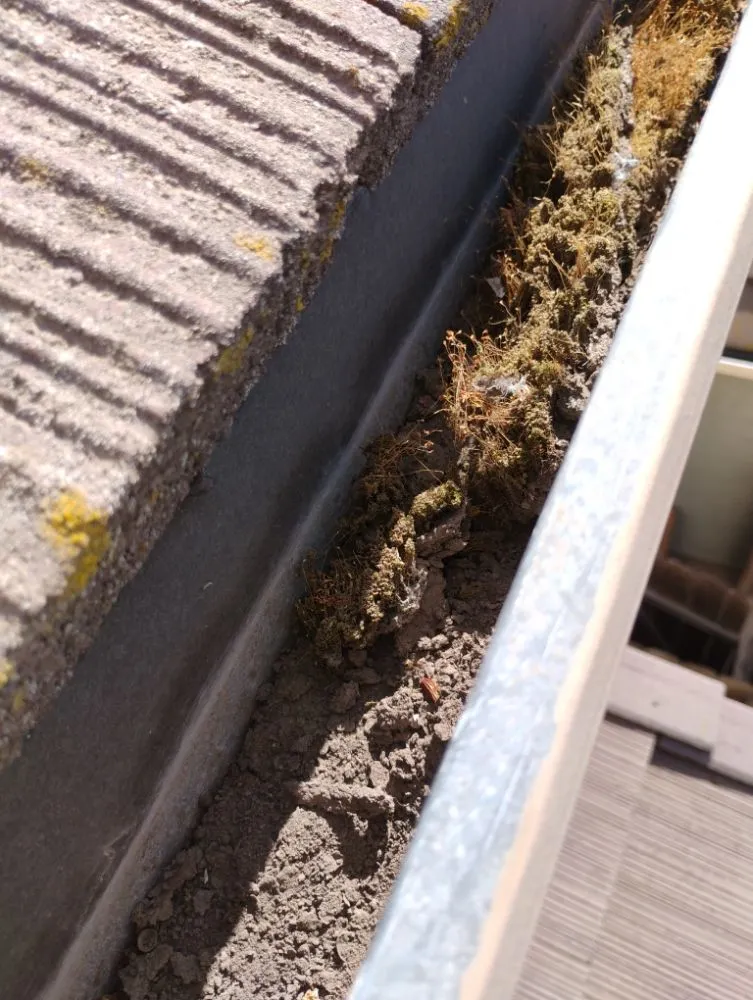 Top-rated lawn mowing service near you in Winton, CA by J.M Lawn Care