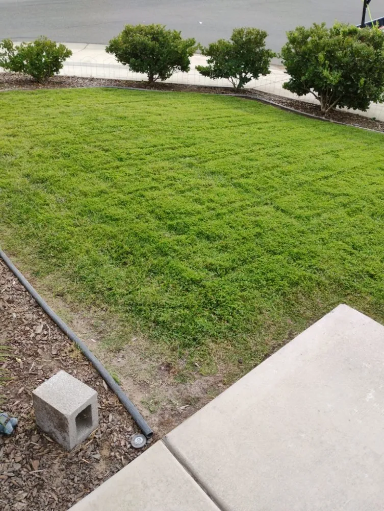 Local lawn mowing service for outdoor upgrades in Winton, CA by J.M Lawn Care