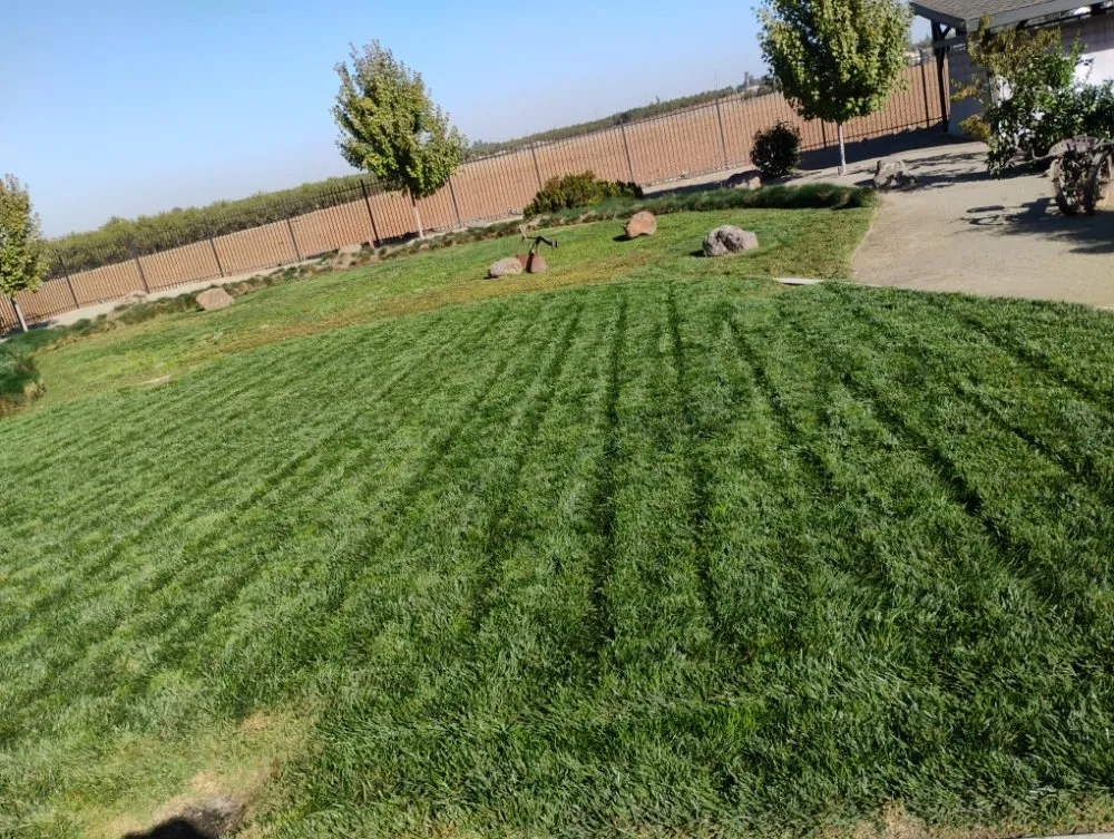 Professional outdoor landscaping experts serving Winton, CA - J.M Lawn Care