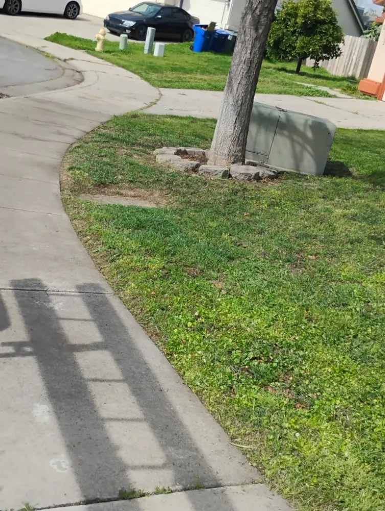 Affordable yard cleanup service experts serving Winton, CA - J.M Lawn Care