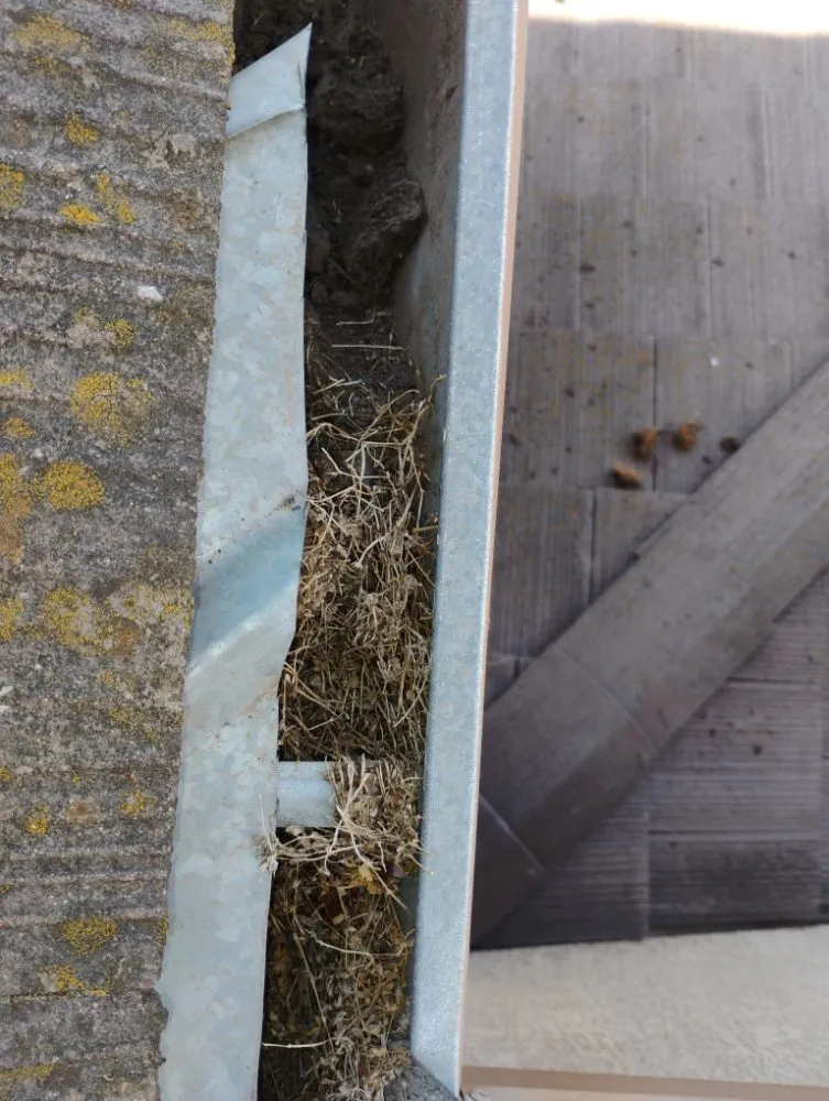 Affordable lawn mowing service in Winton, CA - J.M Lawn Care