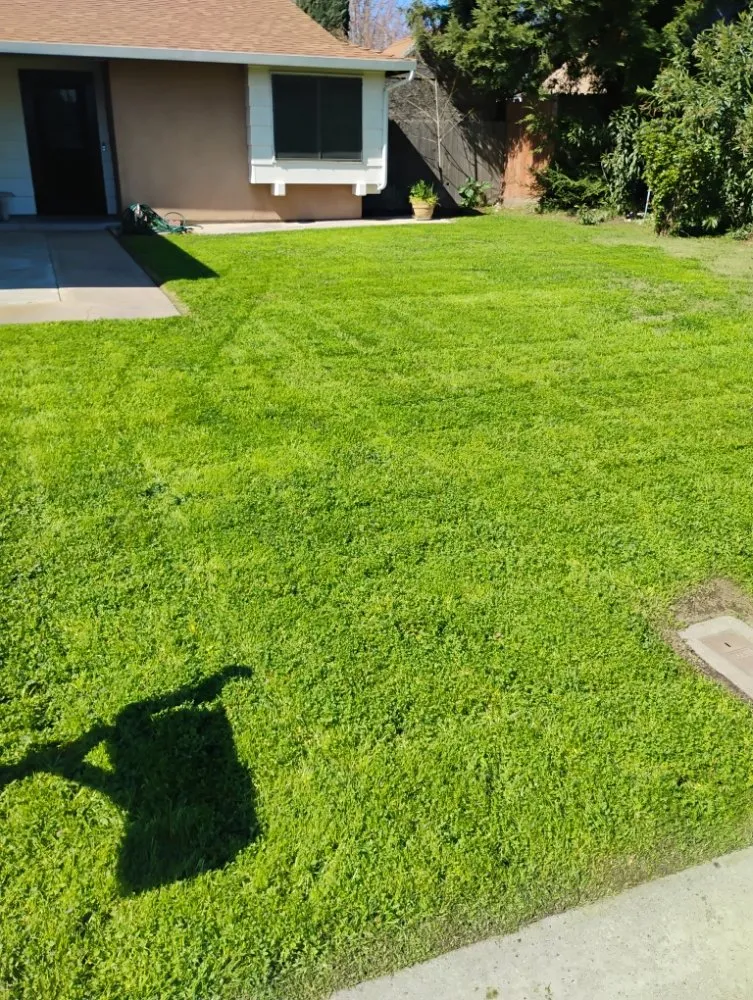 Local yard maintenance in Winton, CA - J.M Lawn Care