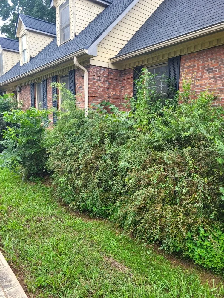 Local yard maintenance experts serving Simpsonville, SC - J&M Lawn Maintenance