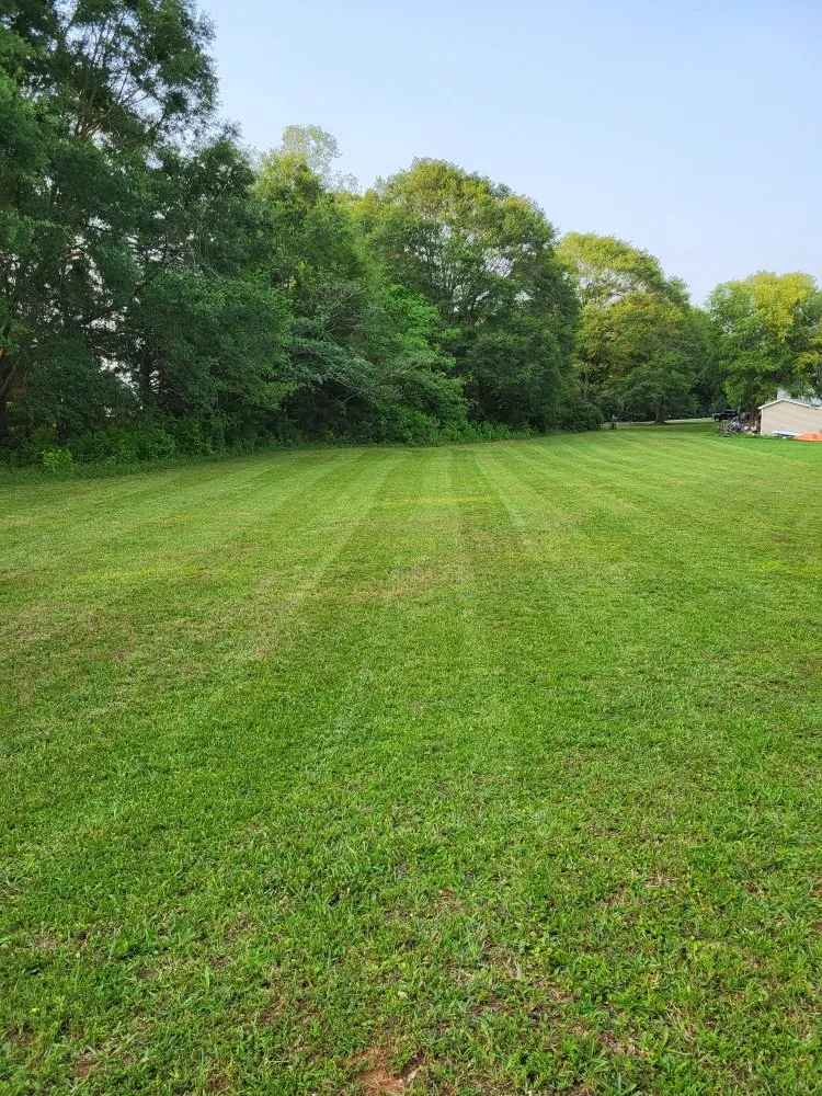 Local landscape design for outdoor upgrades in Simpsonville, SC by J&M Lawn Maintenance