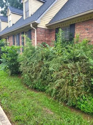 J&M Lawn Maintenance Logo