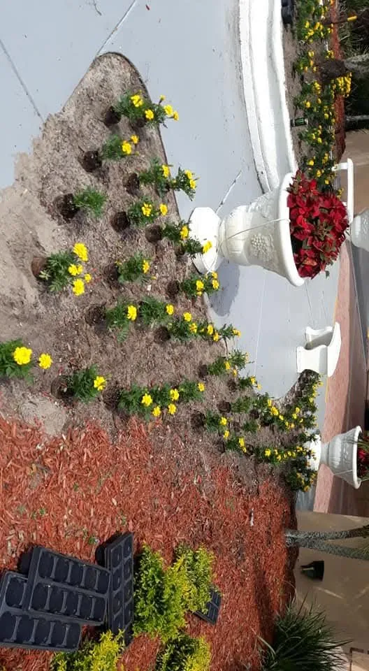 Trusted lawn mowing service in Haines City, FL - JM lawn service