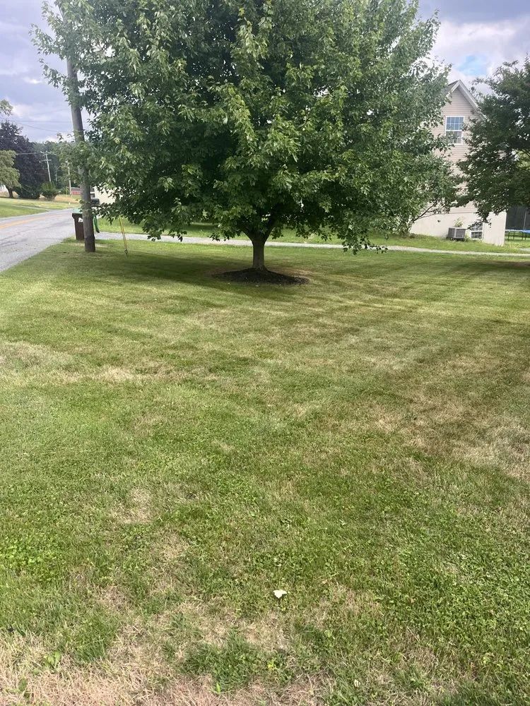 Custom landscaping services experts serving Sabillasville, MD - JM Lawn Services