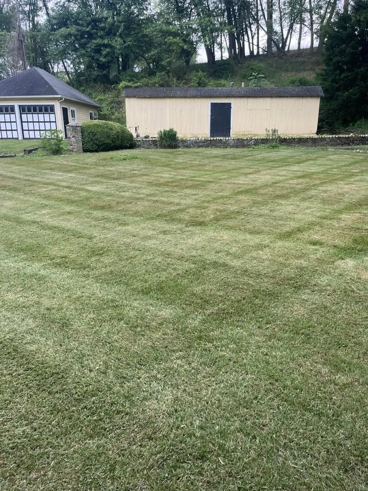 Top-rated yard cleanup service in Sabillasville, MD by JM Lawn Services