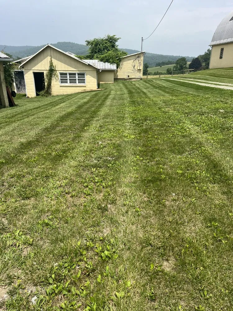 Trusted yard cleanup service for outdoor upgrades across Sabillasville, MD - JM Lawn Services