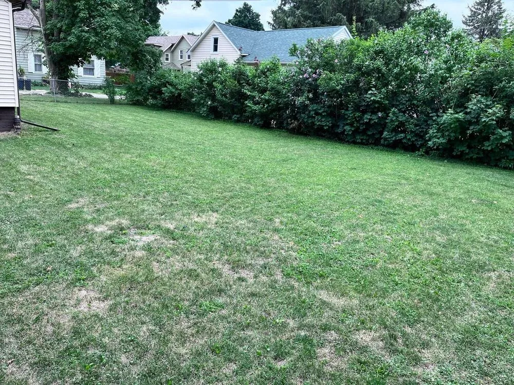 Affordable lawn care service in La Porte, IN - J&M Lawncare & Services