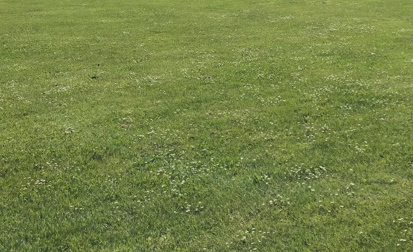 Expert landscape design in Joshua, TX by J&M Lawncare