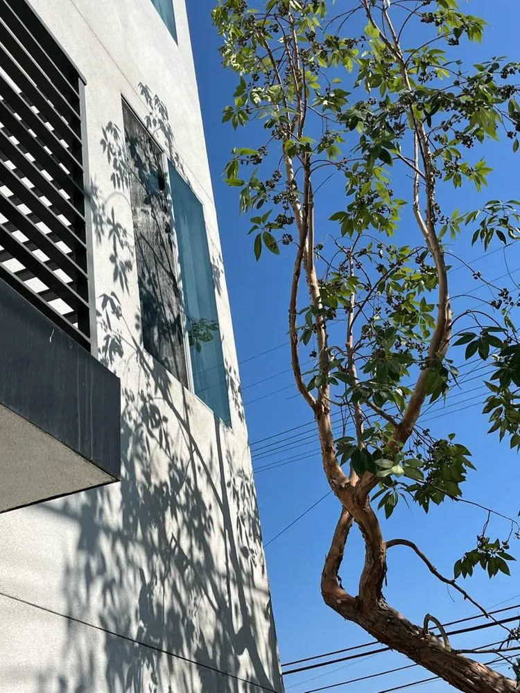 Professional yard cleanup service in Inglewood, CA by J&M lawncare Landscape Service