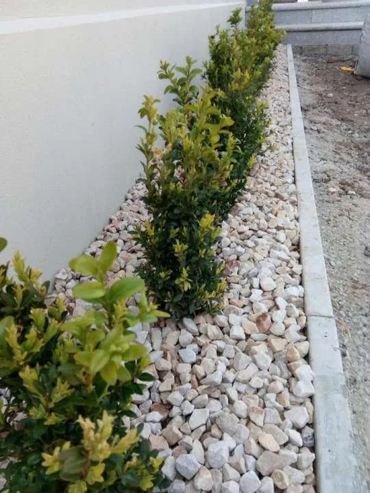 Custom lawn mowing service with custom design across Inglewood, CA - J&M lawncare Landscape Service