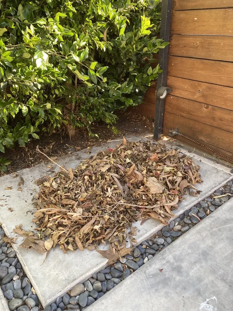 Local landscaping services experts serving Inglewood, CA - J&M lawncare Landscape Service