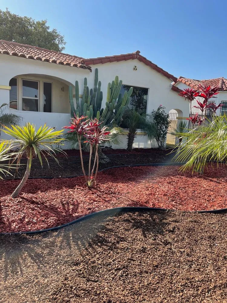 Trusted yard maintenance experts serving Inglewood, CA - J&M lawncare Landscape Service