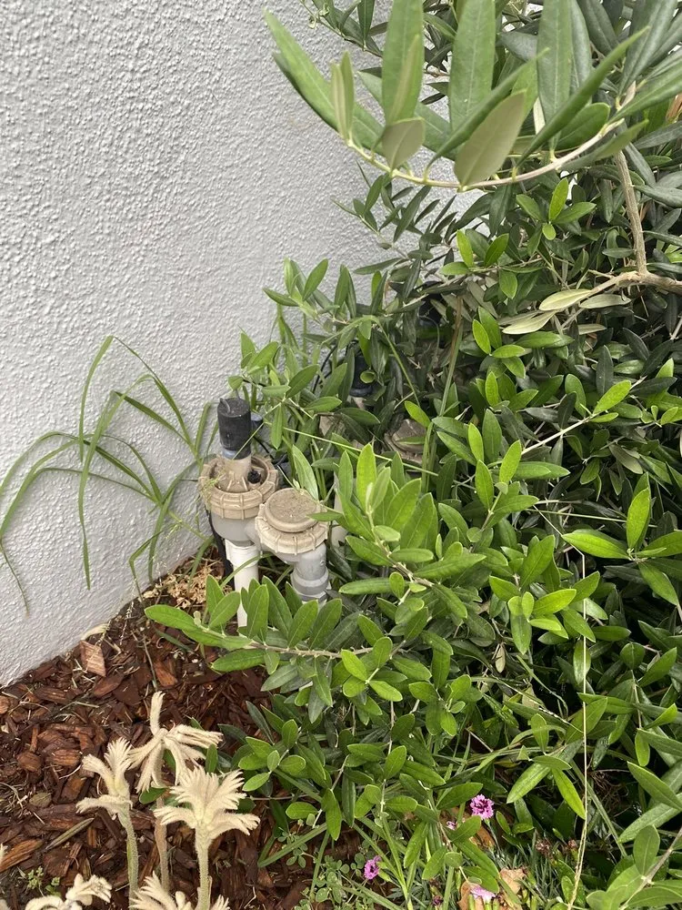 Reliable garden landscaping for beautiful yards across Inglewood, CA - J&M lawncare Landscape Service