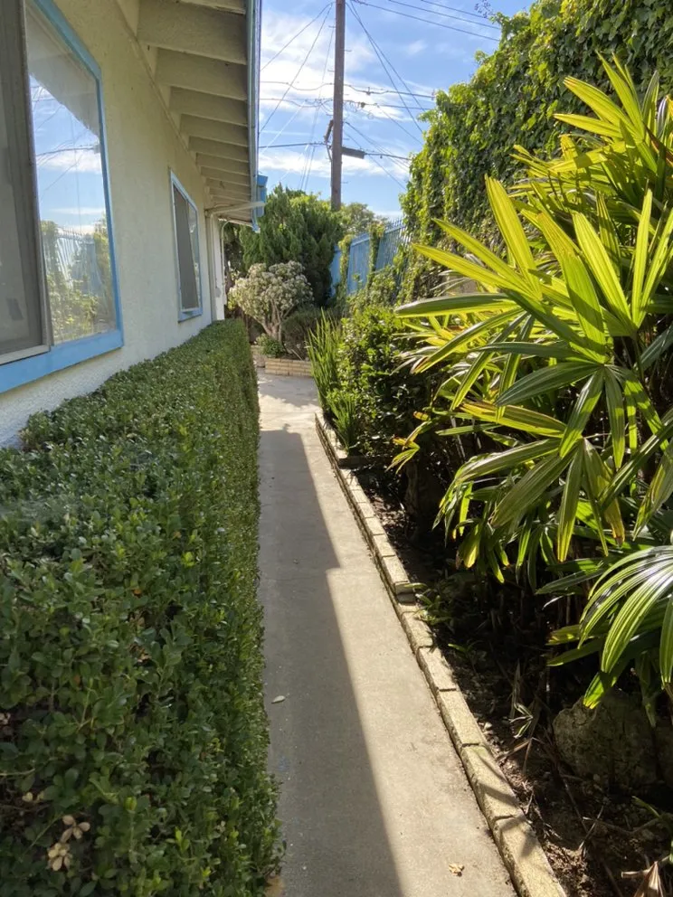 Local landscape installation experts serving Inglewood, CA - J&M lawncare Landscape Service