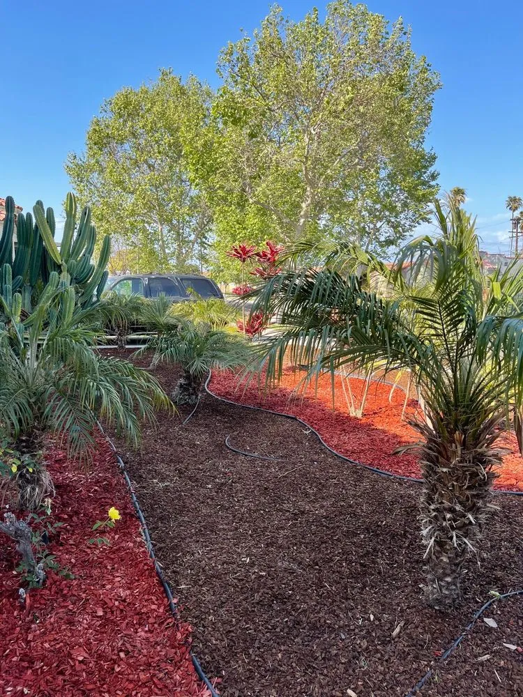 Top-rated landscape design in Inglewood, CA by J&M lawncare Landscape Service