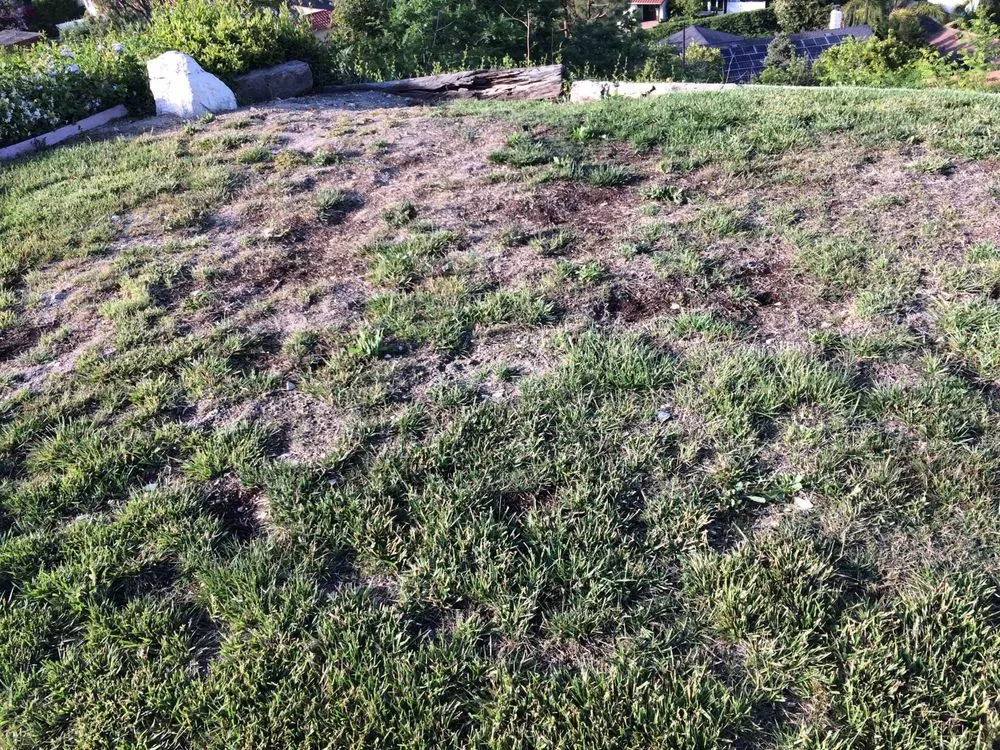 Top-rated garden landscaping in Inglewood, CA - J&M lawncare Landscape Service