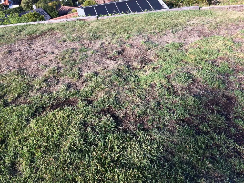 Reliable garden landscaping with custom design across Inglewood, CA - J&M lawncare Landscape Service